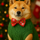 Parisian Pet 'Cable Knit Sweater' - Warm & Stylish Pet Sweater in Green for Dogs & Cats