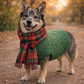 Parisian Pet 'Cable Knit Sweater' - Warm & Stylish Pet Sweater in Green for Dogs & Cats