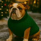 Parisian Pet 'Cable Knit Sweater' - Warm & Stylish Pet Sweater in Green for Dogs & Cats