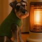 Parisian Pet 'Cable Knit Sweater' - Warm & Stylish Pet Sweater in Green for Dogs & Cats