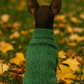 Parisian Pet 'Cable Knit Sweater' - Warm & Stylish Pet Sweater in Green for Dogs & Cats