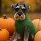 Parisian Pet 'Cable Knit Sweater' - Warm & Stylish Pet Sweater in Green for Dogs & Cats