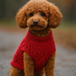 Parisian Pet 'Cable Knit Sweater' - Warm & Stylish Pet Sweater in Red for Dogs & Cats-Valentine's Day