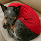 Parisian Pet 'Cable Knit Sweater' - Warm & Stylish Pet Sweater in Red for Dogs & Cats-Valentine's Day