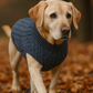 Parisian Pet 'Cable Knit Sweater' - Warm & Stylish Pet Sweater in Navy Blue for Dogs & Cats
