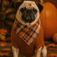 Parisian Pet 'Cable Knit Sweater' - Warm & Stylish Pet Sweater in Terracotta for Dogs & Cats